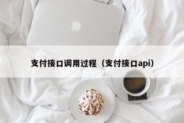 支付接口调用过程（支付接口api）