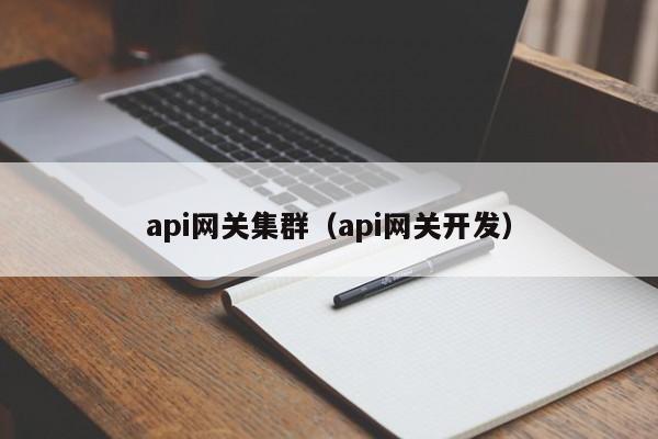 api网关集群（api网关开发）