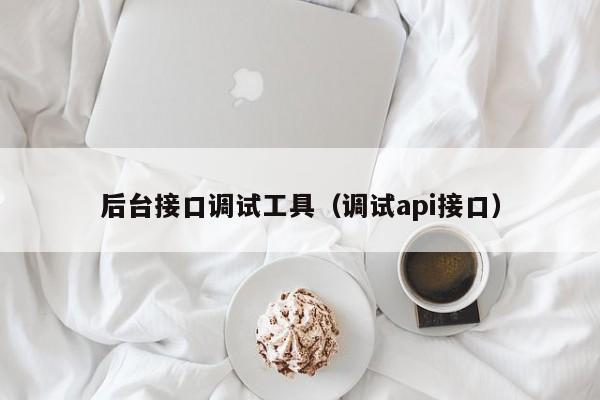 后台接口调试工具（调试api接口）