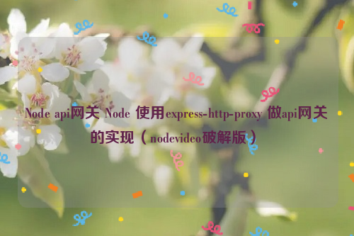 Node api网关Node 使用express-http-proxy 做api网关的实现（nodevideo破解版）-eolink官网